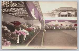 Postcard, Flower Show, Yokohama, Japan, Unposted, Chrysanthemums - Picture 1 of 2