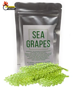 Umibudo Sea Grapes - Delicious Green Caviar Seaweed - Dehydrated Seagrapes in Br - Picture 1 of 12
