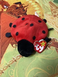 Ty Beanie Baby LUCKY the Ladybug Insect 1995 Neu mit Etikett - Bild 1 von 2