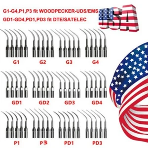 5 Consejos para escaricador dental fit Woodpeck EMS/DTE SATELEC pieza de mano - Foto 1 di 33