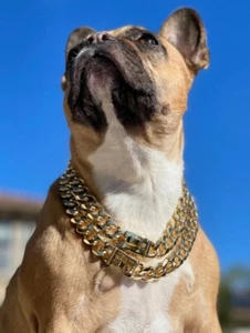 Cuban dog chain collar 18kt Gold Plated Stainless Steel 16 Inch Designer Bek&Co - Picture 1 of 10