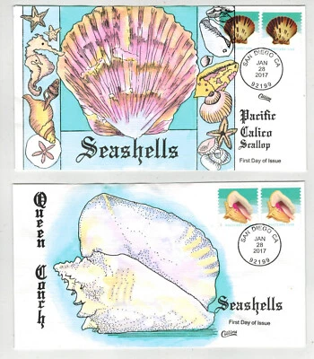 2017 COLLINS HANDPAINTED SEASHELLS SERIES SET OF 4 DIFFERENT Scallop Whelk Zebra - Image 1 of 2
