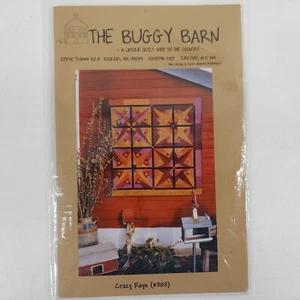 CRAZY RAYS Patchwork Wall Quilt Pattern 302 Buggy Barn Janet Rae Nesbitt NOS '02 - Picture 1 of 3