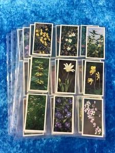 John Player & Sons - Grandee Britain's Wild Flowers Juego completo de 30 cartas 1986 - Imagen 1 de 9