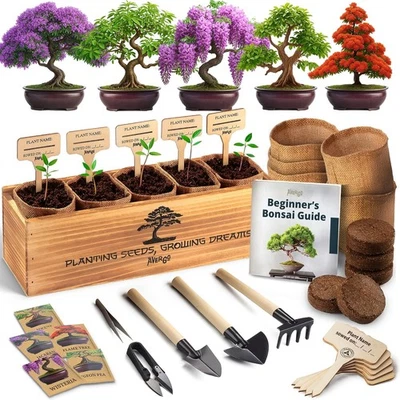 Kit de árbol bonsai AVERGO para principiantes - 5 árboles bonzai japoneses únicos, completo Foto 1 de 4