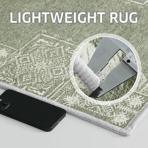 Salbeigrün Teppich 2x3 Eingang Klein Teppich Waschbar Dünn Geometrisch Vorleger W... - Bild 1 von 12