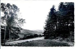 CP 69 RHÔNE - Chenelette - Bois et Route de Chenelette - Picture 1 of 1