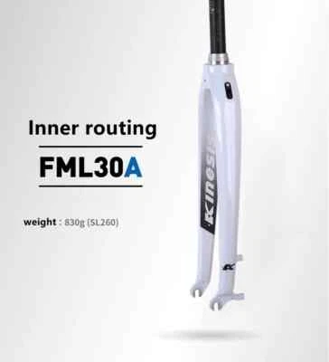 Horquilla rígida para bicicleta MTB 26/27,5/29er horquilla de freno de disco eje pasante 100*15 mm Foto 1 de 4