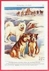 1941 Dog Print ~ ESKIMO & ALASKAN MALEMUTE by Edward Herbert Miner ~ Snow, Polar