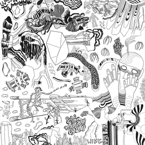 WOODEN INDIAN BURIAL GROUND HOW'S YOUR FAVORITE DREAMER? NEW VINYL - Picture 1 of 1