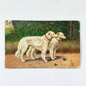 Postal Borzoi Russian Wolfhound Dogs 1908 publicada de colección canina RPPC - Imagen 1 de 7