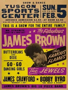 Vintage Style Metal Sign 1967 JAMES BROWN 12x16 - Picture 1 of 1