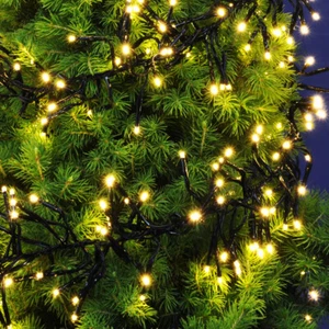 LED Cluster Lichterkette 240 cm 384 LEDs warm-weiß Timer (76596) inkl. Box - Bild 1 von 1