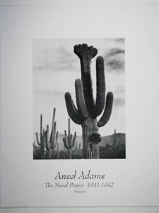 Ansel Adams "SAGUARO" 22"×28" Poster New - Picture 1 of 1