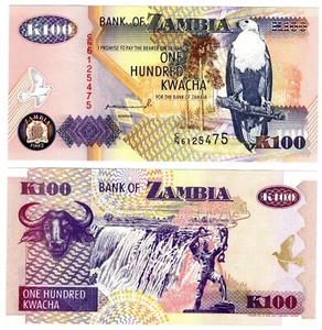 1992  Zambia P38 100 Kwacha Banknote UNC - Picture 1 of 1