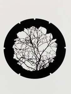 2 285 003 860 - Branches 3 - Metal GOBO Size B - Picture 1 of 1