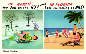 Alte unbestellte Postkarte NORDENLICH FÄLLST DU AUF DAS EIS IN FLORIDA... - Bild 1 von 2
