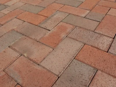 Pflasterklinker Westfalen 20x10x4,5 cm rot-bunt Wienerberger Pflastersteine - Bild 1 von 2