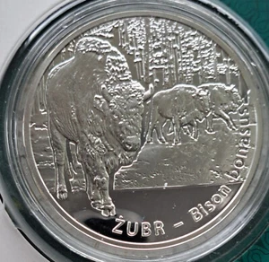 20 Zloty Polen Jahr 2013 "ZUBR" PP Silber Ag925 35000 Stk. - Bild 1 von 6