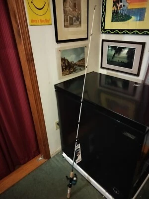 ZEBCO *Fin Commander* 5' ROD & 33 MICRO REEL COMBO *FAST FREE SHIPPING!! - Image 1 of 4