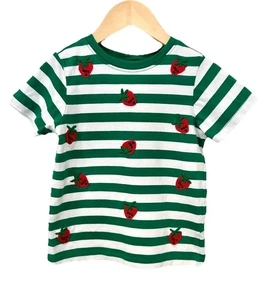 Hanna Andersson Girls Tee US 5 110 cm Green Stripe Embroidered Strawberries EUC - Picture 1 of 5