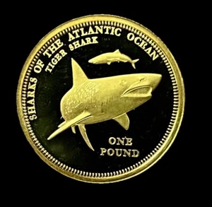 2015 TRISTAN DA CUNHA GOLD 1 POUND DCAM PROOF TIGER SHARK / BUY FOR MELT VALUE - Picture 1 of 4