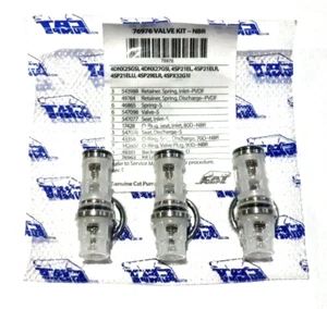 76976 VALVE KIT FOR CAT PUMP 4DNX,4SPX,4SP,4PPX, RSPX, 4SP PRESSURE WASHER - Picture 1 of 7