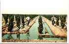 San Joaquin Valley California Ca Irrigated Vineyard Two Men Ca 1908