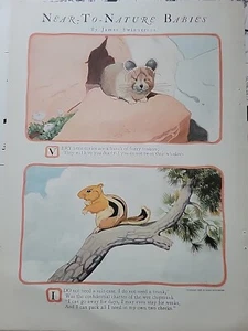 James Swinnerton 1929 arte cerca de la naturaleza bebés ardilla impresión de colección - Imagen 1 de 1