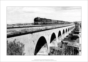 NSW Railways Federal City Express A2 Art Print – Goulburn – 59 x 42 cm Poster - Imagen 1 de 3