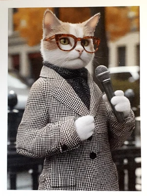 tarjeta divertida para cualquier ocasión - un presentador de noticias ED#146 Foto 1 de 2