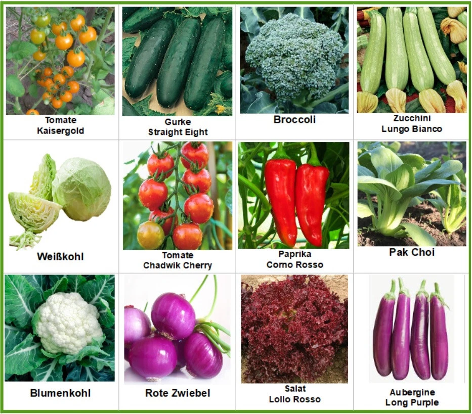 Semences Potagères 12 Variétés Brocoli Concombre Aubergine Zucchi Poivron - Photo 1/1