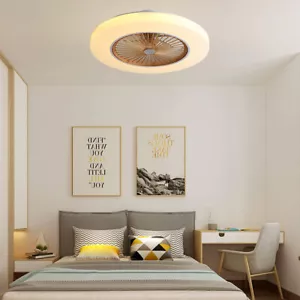 21.3 In LED Ceiling Fan Light Modern Chandelier With Invisible Blade Control - Picture 1 of 12