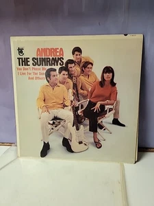 The Sunrays – Andrea - 1966 - Tower T-5017 Vinyl LP VG+/VG+ - Picture 1 of 8