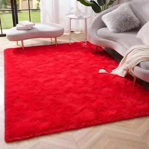 Premium Soft Fluffy Area Rug Modern Shag Carpet, 3X5 Feet, Fuzzy Shaggy Rugs for - Picture 1 of 12