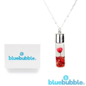 Bluebubble MY VALENTINE Flower Vial Necklace Gift Boxed Love Girlfriend Wife UK - Picture 1 of 6