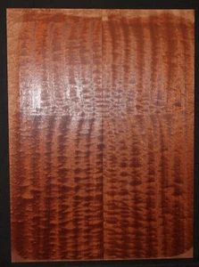 Guitarra Sapele acolchada con figuras coincidentes. - Imagen 1 de 5