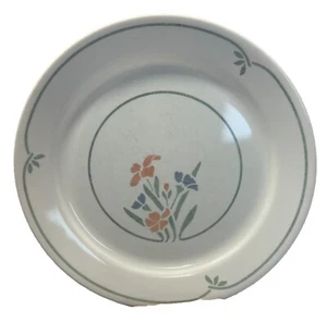 Plato de cena de jardín Corelle by CorningWare plantilla 10,25" vintage - Imagen 1 de 3
