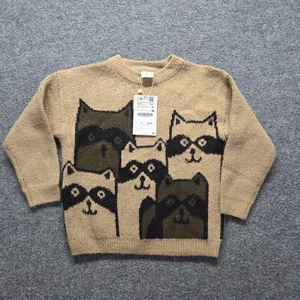Zara Kids Boys Soft Pullover Raccoon Double Sided AOP Crewneck Sweater 4-5 - Picture 1 of 8