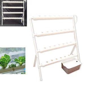 Kit coltivazione idroponica 36 fori cesto per piante sistema di irrigazione idroponica 220V - Foto 1 di 15