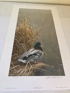 LE Print-In His Prime Mallard-Robert Bateman - Picture 1 of 5