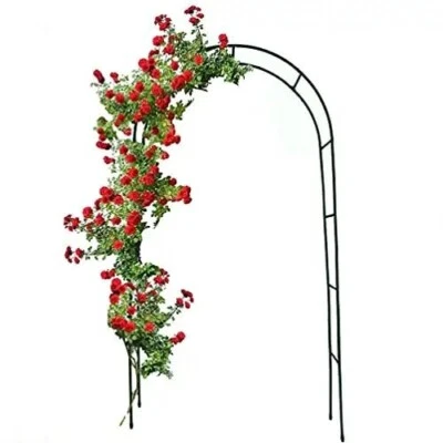 ARREDITALY Arco da giardino per rose piante rampicanti traliccio pergolato vite decorazione