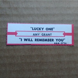 AMY GRANT Lucky One JUKEBOX STRIP Record 45 rpm 7"