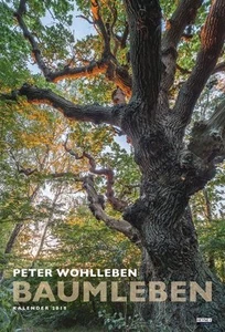 Baumleben 2018 von Peter Wohlleben Kalender - Wandkalender - Picture 1 of 1