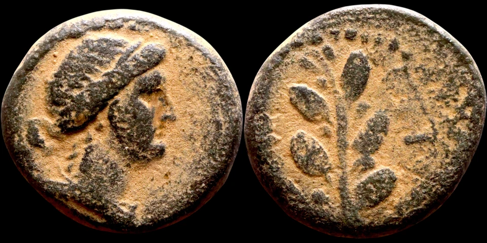 Moneta provinciale in bronzo Nero 54-68 AD AE Cilicia Anazarbus AE15 mm 3,69 ... - Immagine 1 di 1