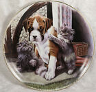 Royal Albert Playful Friends Please Join In Boxer Plate Working Breed Pedigree