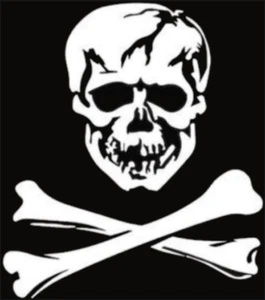 Bones & Skull Car Window Vinyl Decal Graphic Crossbones Truck Laptop Sticker - Picture 1 of 6