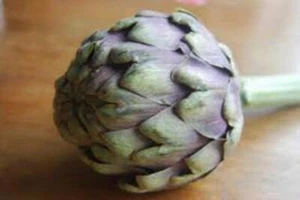 ARTICHOKE SEED, GREEN GLOBE, HEIRLOOM,  100 SEEDS, NON GMO, ARTICHOKES - Picture 1 of 1