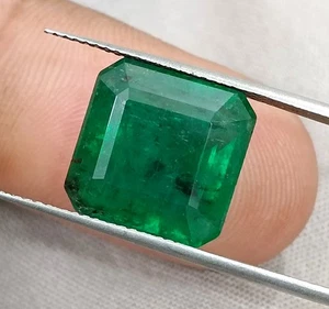 Big Size 9.93ct Certified Vivid Deep Green Zambian Emerald Minor Oiled Gemstone - Picture 1 of 5