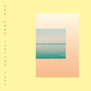 Cut Copy JANUARY TAPE CASSETTE Limited Edition 400 Hand Numbered Exclusive New - Picture 1 of 5